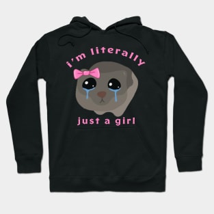 Meme Sad Hamster I’m Literally Just A Girl Hoodie